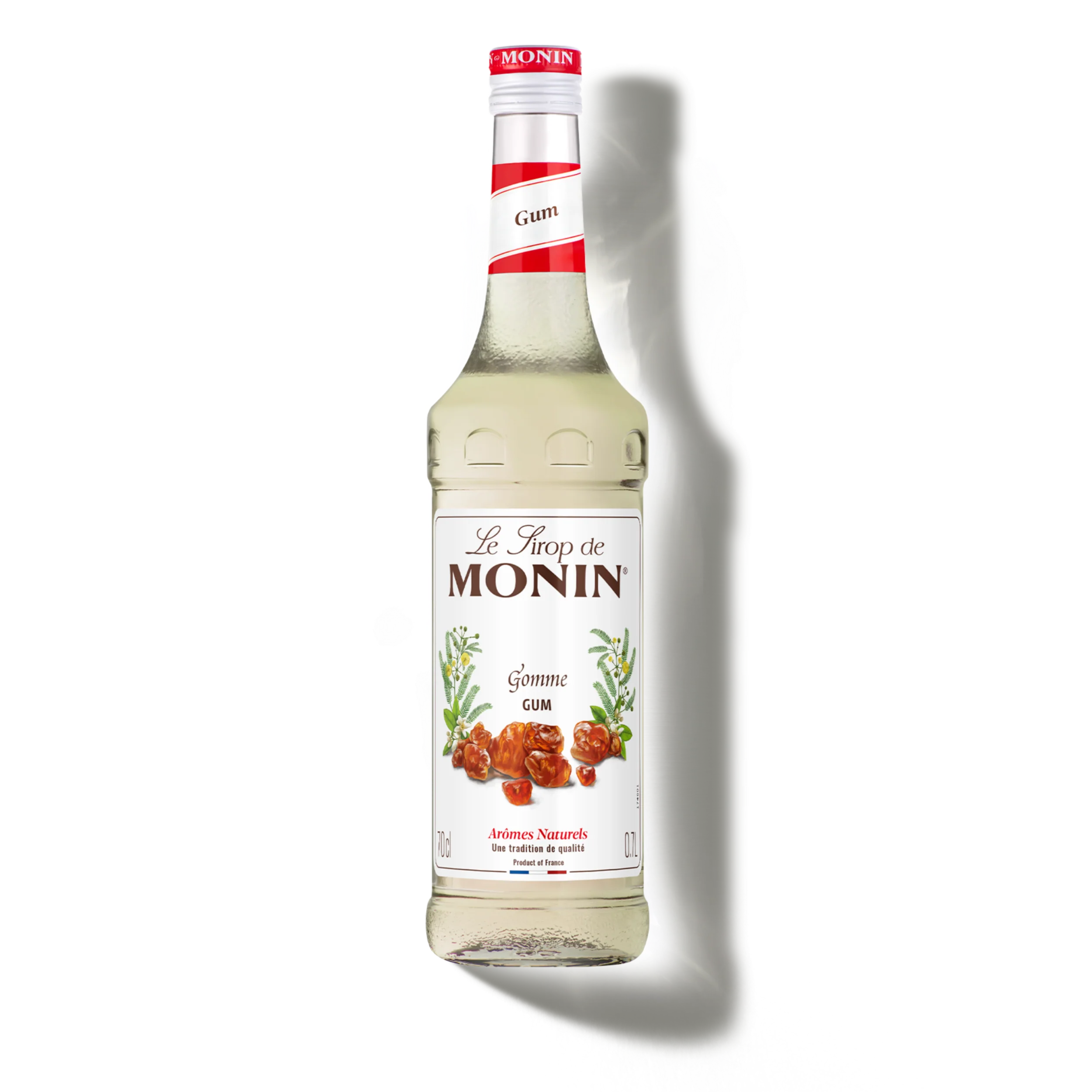 Le Sirop de MONIN Gomme